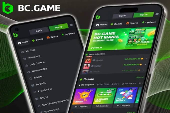 Download the BC.Game Plinko App Your Gateway to Thrilling Mobile Gaming